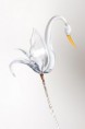 /album/labute/mg-0589-jpg/