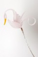 /album/labute/mg-0601-jpg/